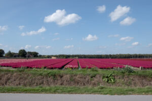 039-2018-09-19 Limburg Arcen