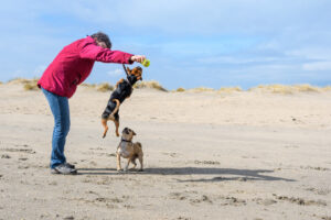 040-2018-03-31 Puppy shoot op de Zandmotor