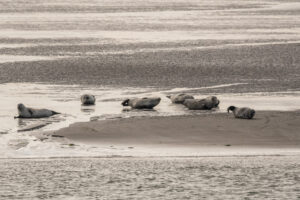 040-2018-09-27 Ameland