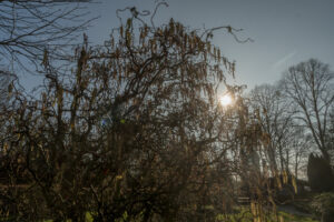 040-2019-03-24 Weekendje weg