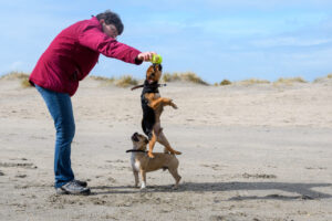 041-2018-03-31 Puppy shoot op de Zandmotor