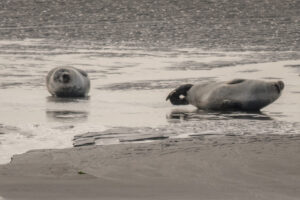 041-2018-09-27 Ameland