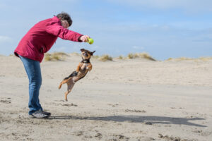 042-2018-03-31 Puppy shoot op de Zandmotor