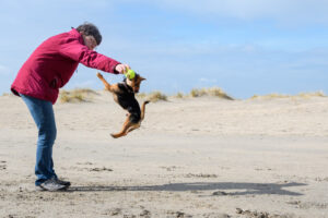 043-2018-03-31 Puppy shoot op de Zandmotor