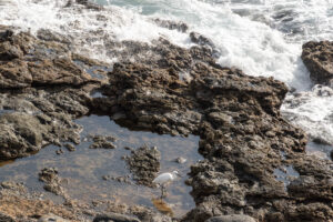 043-2019-12-09 Weekje Lanzarote