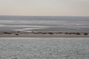 044-2018-09-27 Ameland