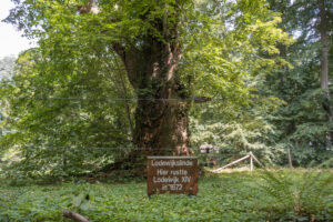 044-2019-08-04 Camping Simon en Marianne