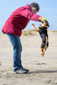 045-2018-03-31 Puppy shoot op de Zandmotor