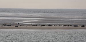 045-2018-09-27 Ameland
