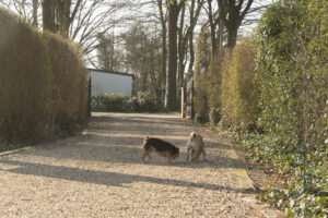 045-2019-03-24 Weekendje weg