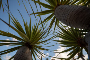 048-2019-12-10 Weekje Lanzarote