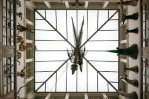 049-2018-06-16 KunstHAL