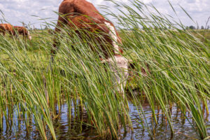 051-2019-06-09 Weekendje Dwingeloo