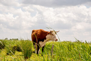 052-2019-06-09 Weekendje Dwingeloo