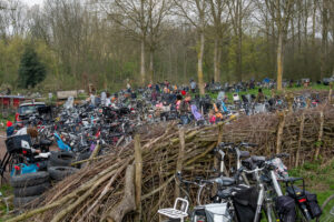 053-2018-04-15 Dansende Koeien