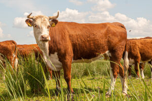 053-2019-06-09 Weekendje Dwingeloo
