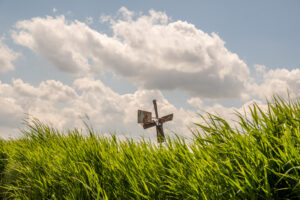 054-2019-06-09 Weekendje Dwingeloo