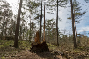 056-2019-03-24 Weekendje weg