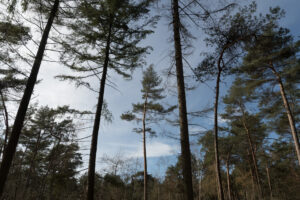 058-2019-03-24 Weekendje weg