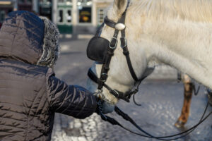 059-2018-01-14 Carnaval Brugge