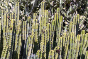 059-2019-12-10 Weekje Lanzarote
