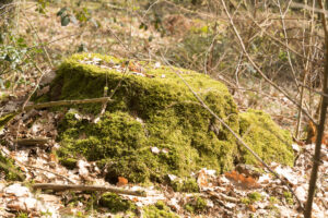 062-2019-03-24 Weekendje weg