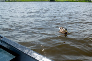 062-2019-06-09 Weekendje Dwingeloo
