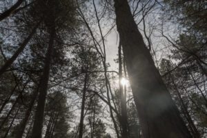 063-2019-03-24 Weekendje weg