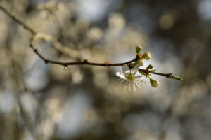 064-2019-03-24 Weekendje weg