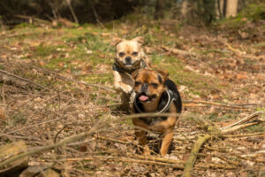 065-2019-03-24 Weekendje weg