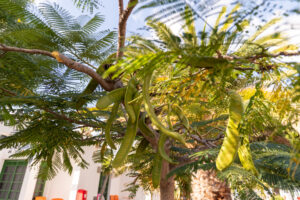 065-2019-12-10 Weekje Lanzarote