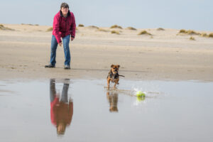 066-2018-03-31 Puppy shoot op de Zandmotor