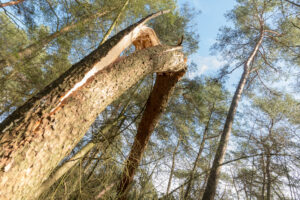 066-2019-03-24 Weekendje weg