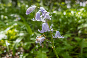 066-2019-04-28 Westerpark