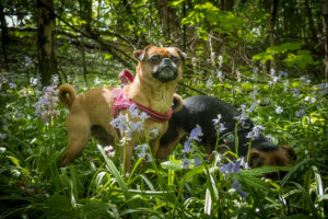 067-2019-04-28 Westerpark