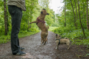069-2019-04-28 Westerpark