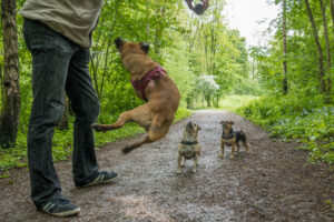 070-2019-04-28 Westerpark