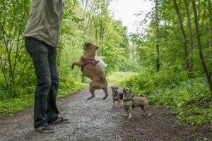 071-2019-04-28 Westerpark