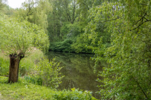 072-2019-04-28 Westerpark