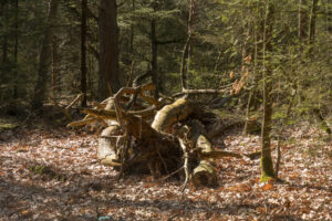073-2019-03-24 Weekendje weg