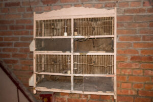074-2019-03-10 Dagje Urbex