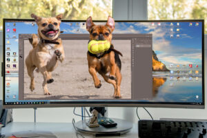 080-2018-03-31 Puppy shoot op de Zandmotor
