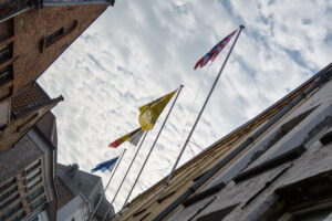 081-2018-01-14 Carnaval Brugge