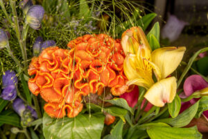 083-2019-06-16 Bloemetje van Iris