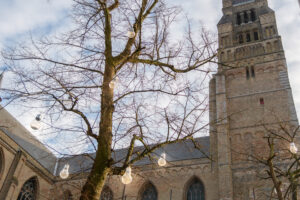 085-2018-01-14 Carnaval Brugge