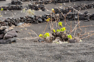 085-2019-12-11 Weekje Lanzarote