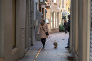 086-2018-01-14 Carnaval Brugge