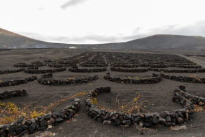 086-2019-12-11 Weekje Lanzarote
