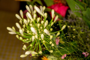 087-2019-06-16 Bloemetje van Iris