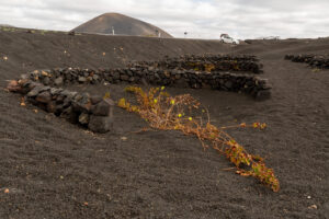 087-2019-12-11 Weekje Lanzarote